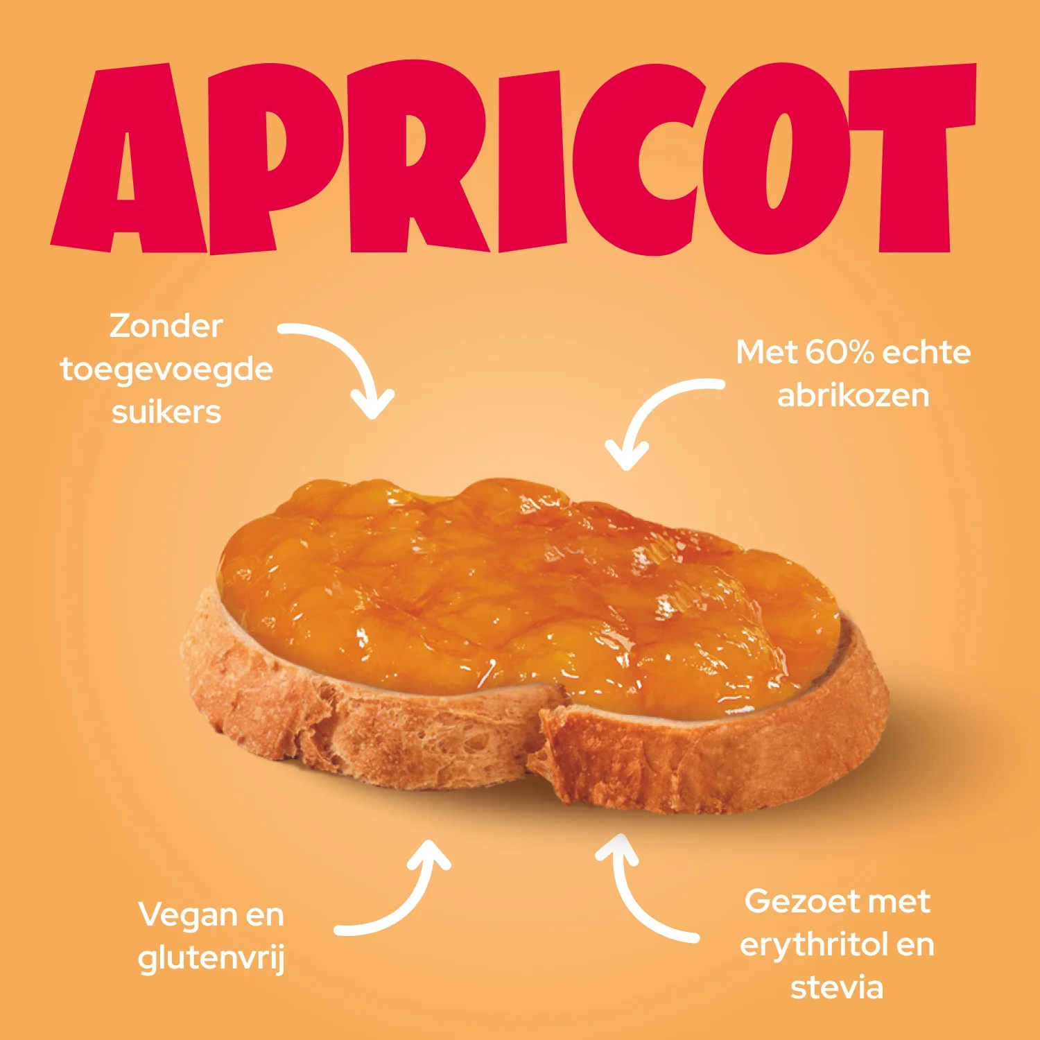 Vorschaubild 9